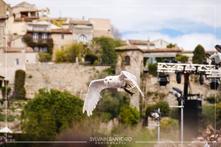 Biot et les Templiers retour en photos